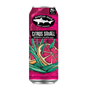 Dogfish Head Citrus Squall 19.2oz Can
